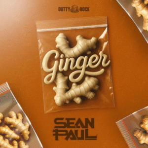 Sean Paul – Ginger (Hip Hop) 2025