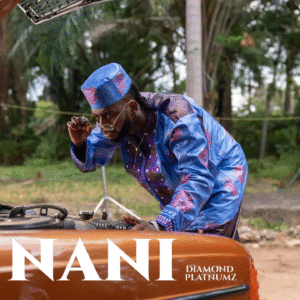 Diamond Platnumz – Nani (Amapiano) 2025